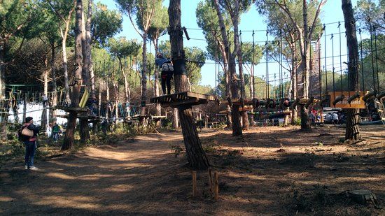 Parco Avventura Riva dei Tarquini